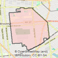 ZIP Code 11203 - Brooklyn
