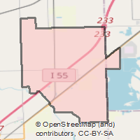 ZIP Code 60407 - Braceville, Illinois